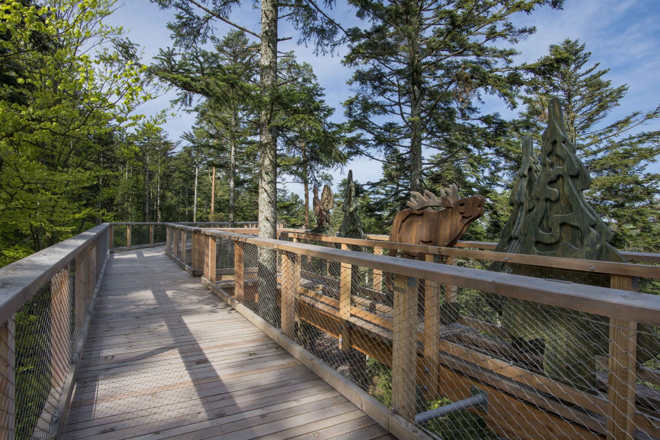 Ostern Baumwipfelpfad Schwarzwald