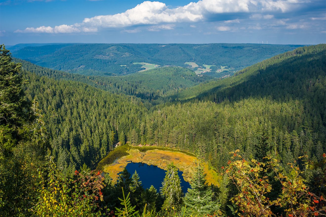 Naturpark Schwarzwald Blog, Geobox, Steine, Karsee, Bild: Shutterstock/Jürgen Wackenhut