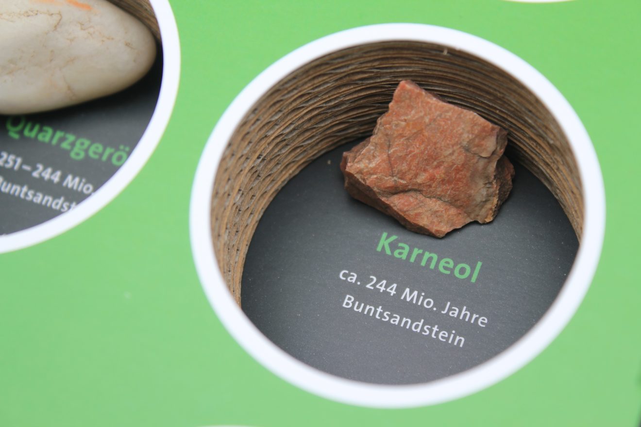 GeoBox des Naturparks Schwarzwald Mitte/Nord