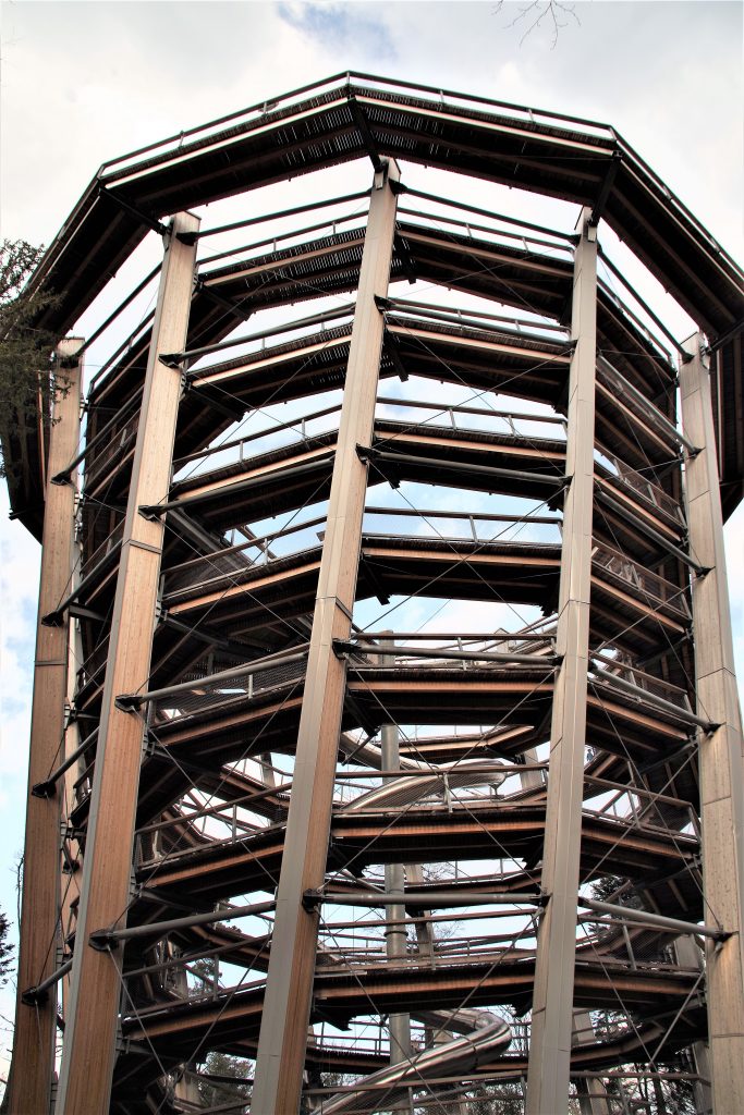 Der Höhepunkt des Baumwipfelpfads: der 40 Meter hohe Turm.