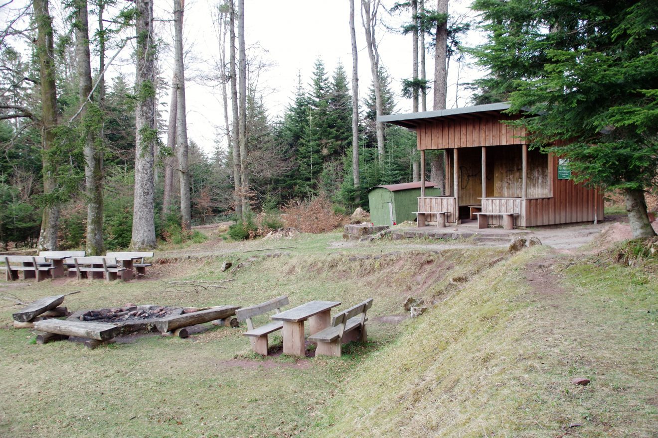 Lichtung mit Grillplatz und Schutzhütte.