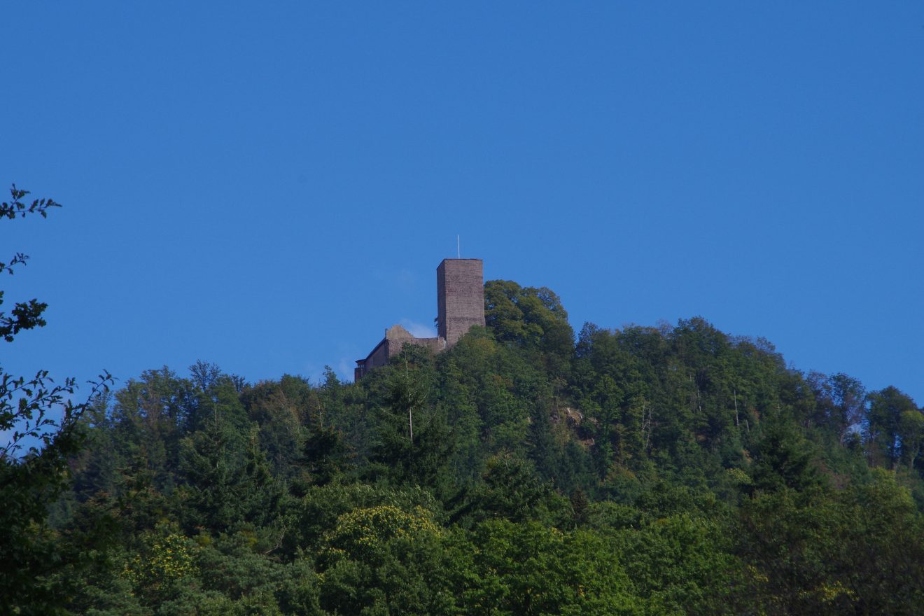 Am Fuße der Yburg liegt das Baden-Badener Rebland.