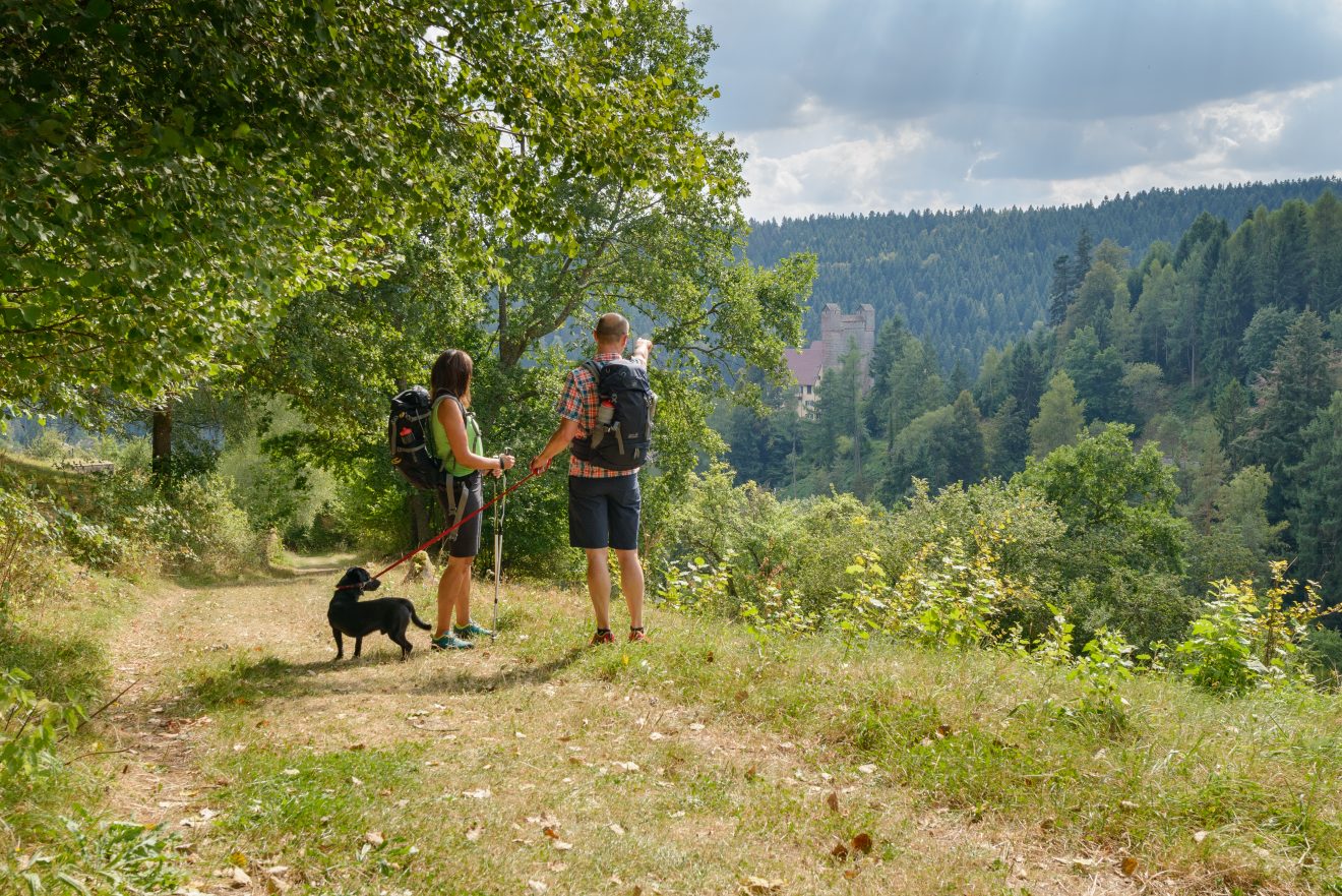 Blick auf Schloss Berneck