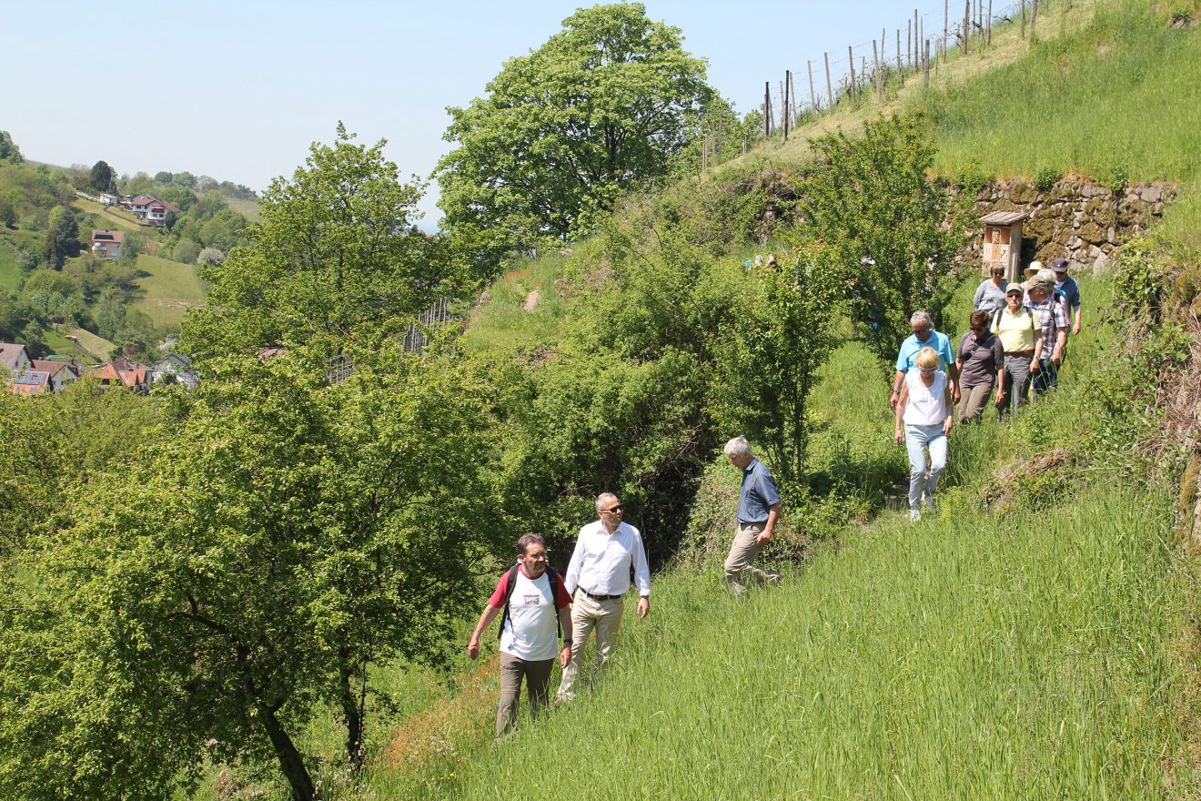 Engelssteig am Engelsberg in Bühlertal