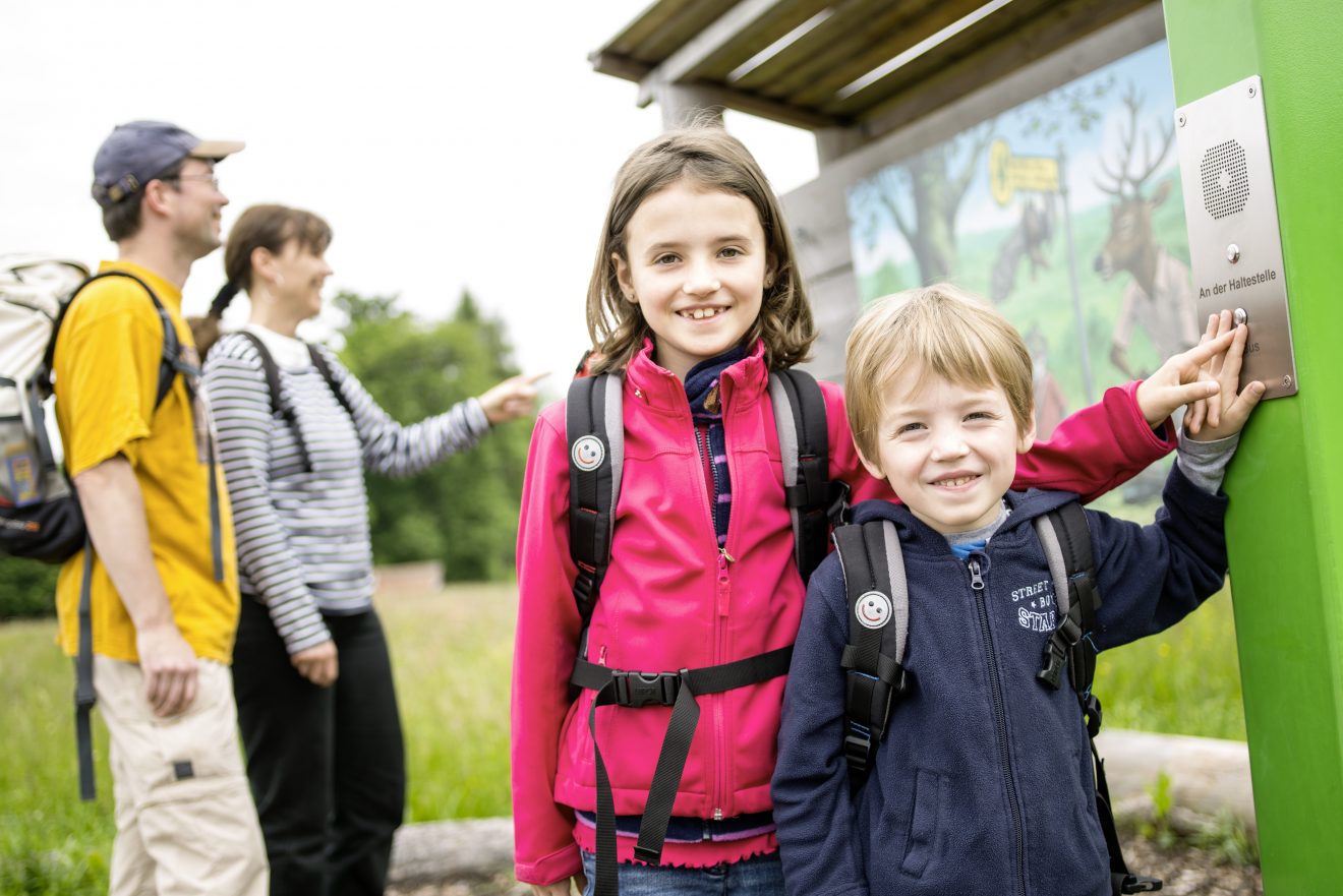 Wildkatzen-Walderlebnis-Pfad in Bad Herrenalb.