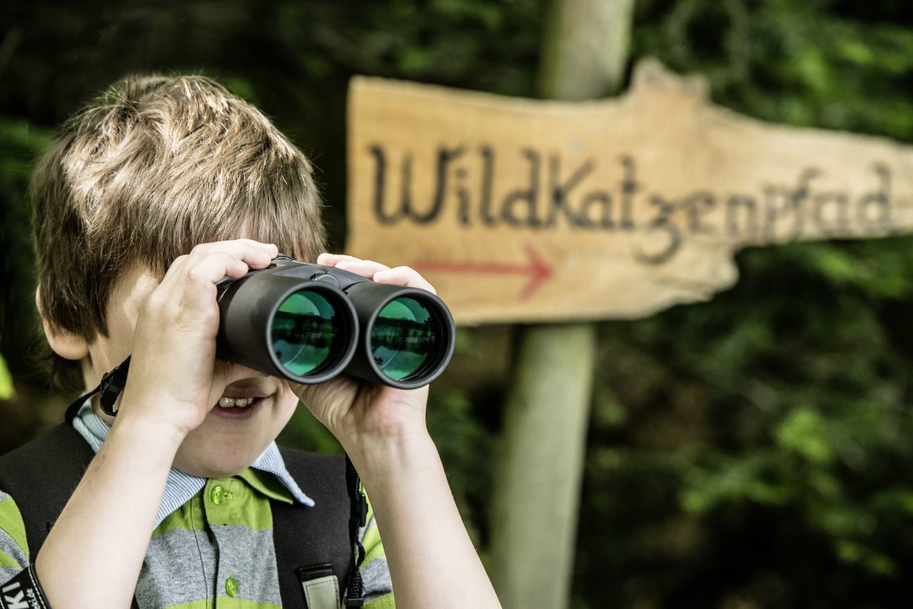 Wildkatzen-Walderlebnis-Pfad in Bad Herrenalb.