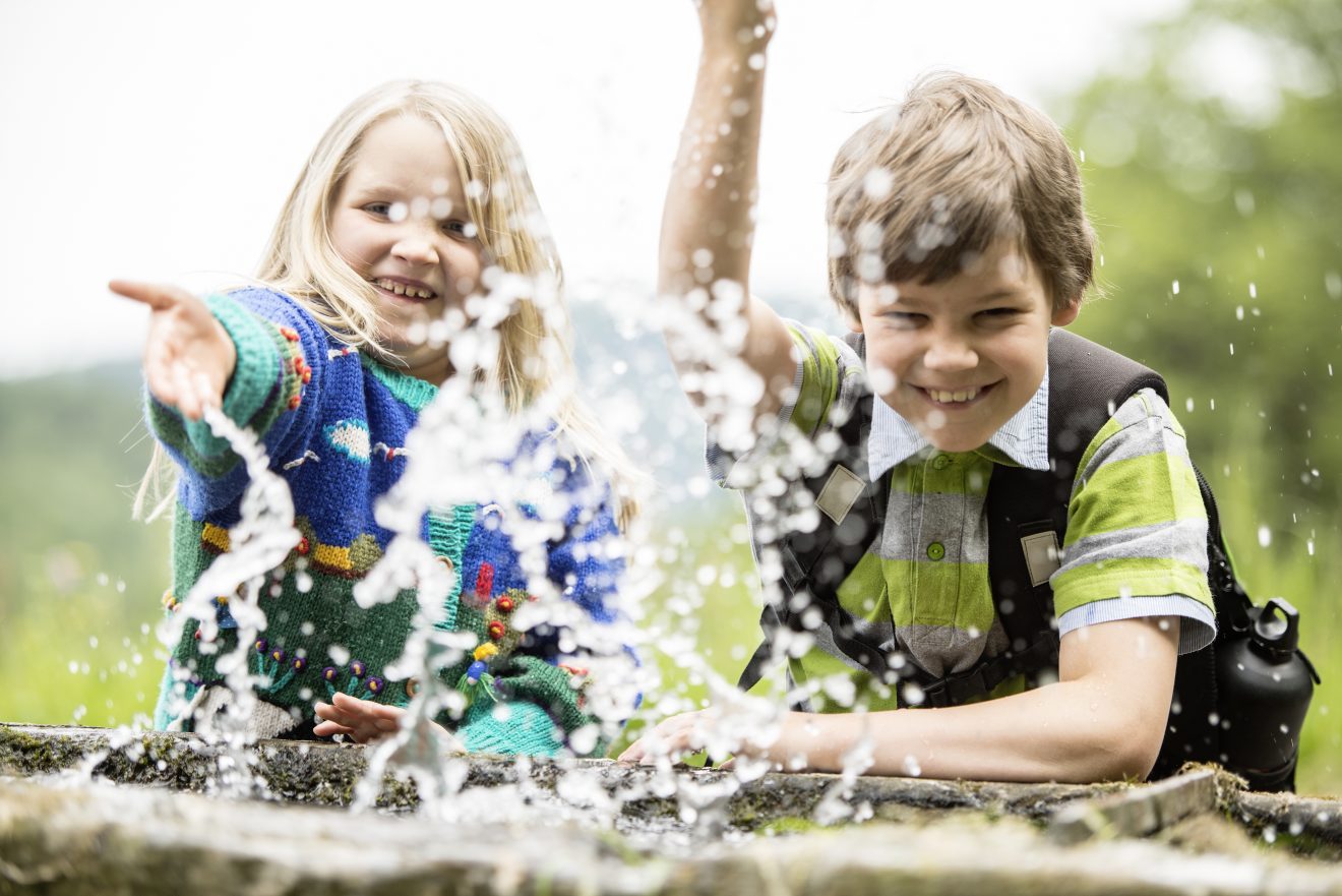 Wildkatzen-Walderlebnis in Bad Herrenalb