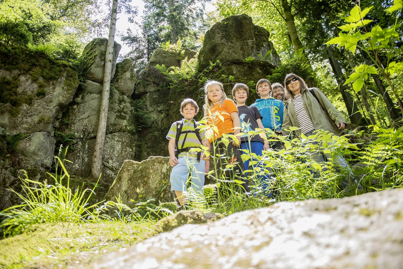 Wildkatzen-Walderlebnis in Bad Herrenalb