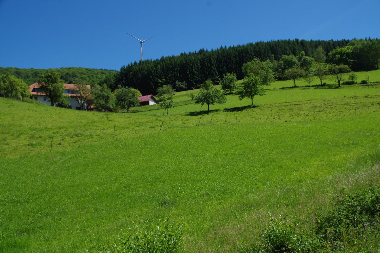 Landschaft um den Prinzbachhof