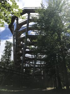 Baumwipfelpfad Bad Wildbad im Schwarzwald