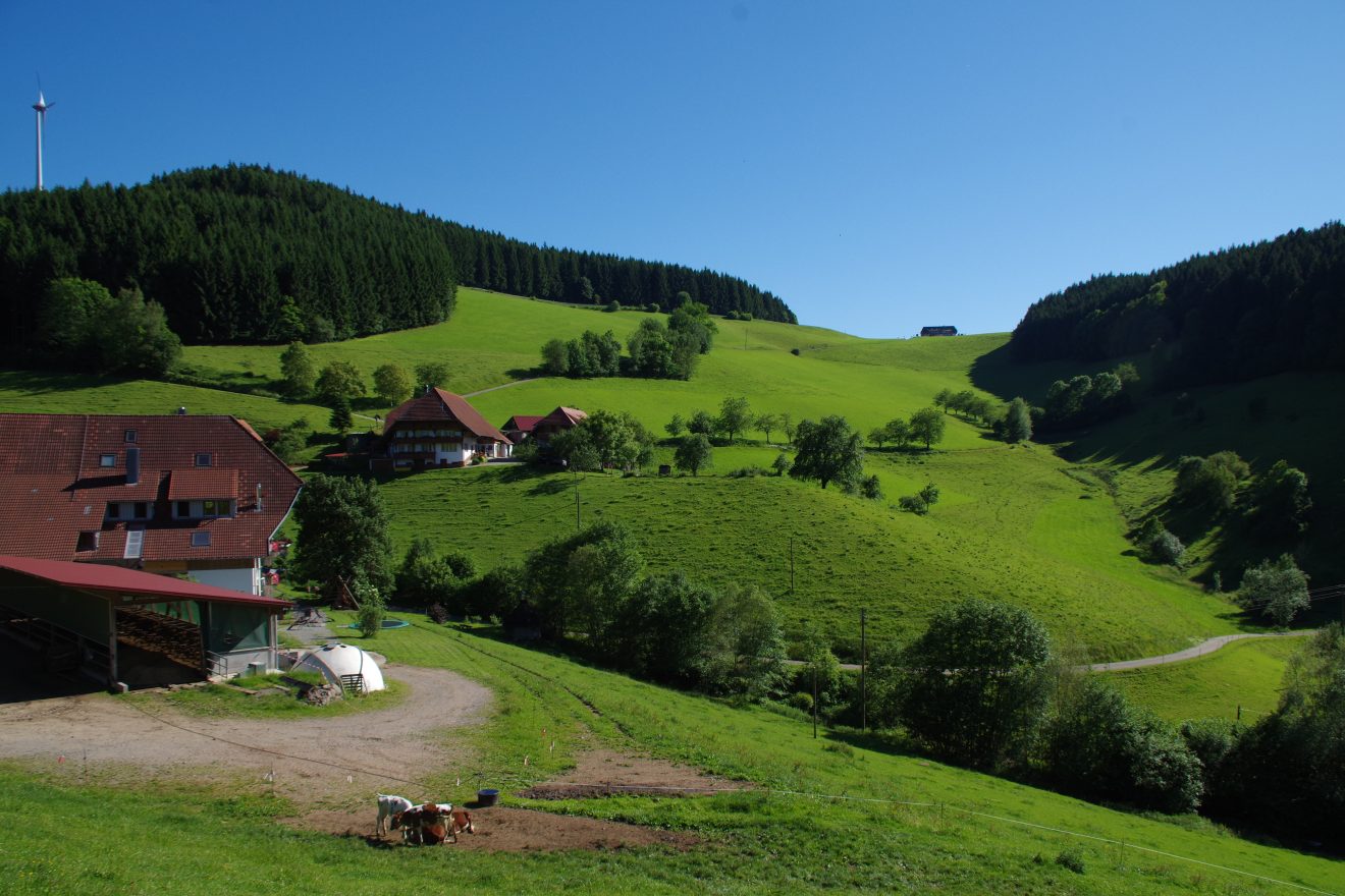 Landschaft um den Prinzbachhof