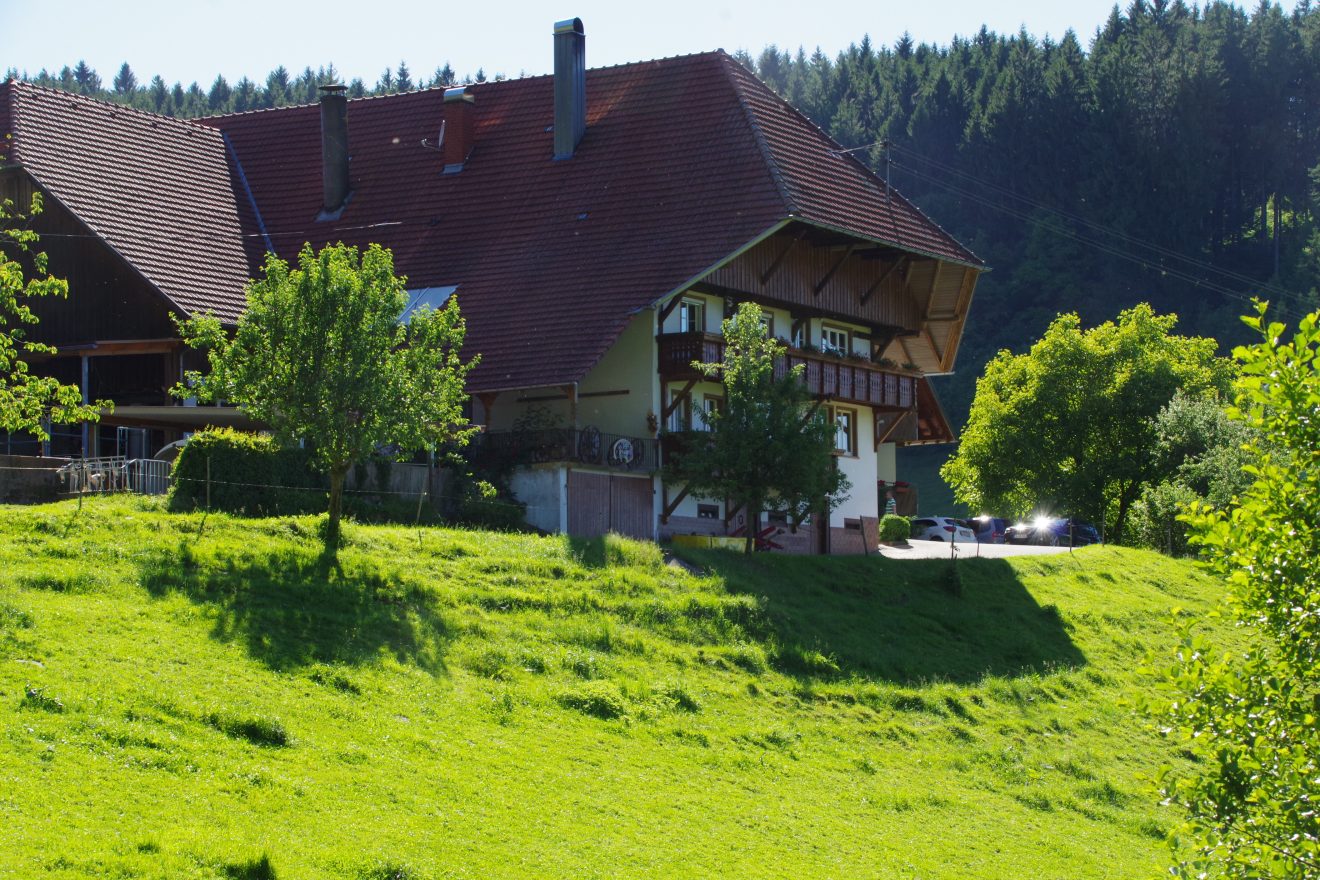 Der Prinzbachhof im Nachmittagslicht.