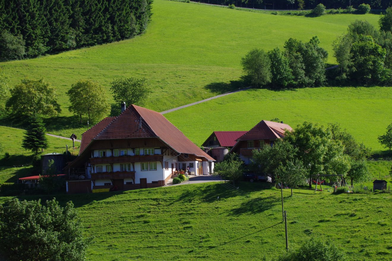 Umgeben von Wald und Wiesen - der Prinzbachhof