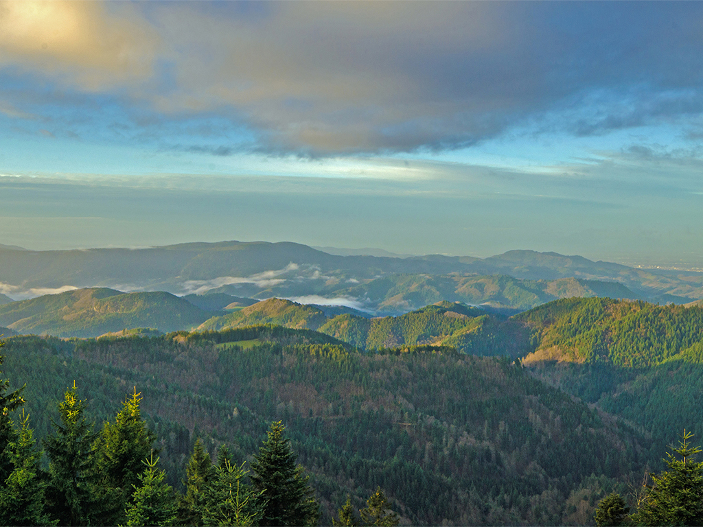 Naturpark Schwarzwald Blog, Wallpaper, Schliffkopf, Bild: Evi Seeger