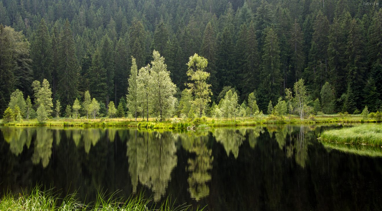 Spiegelglatt: der Buhlbachsee (Foto: Evi Seeger)