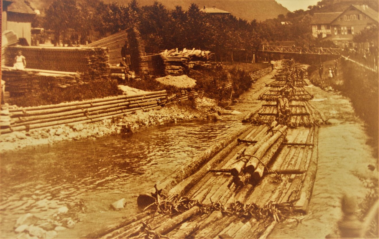 Floß mit mehreren Gestören, Foto von 1906