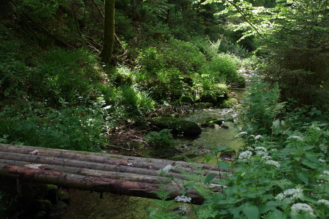Einfache Holzbrücke über die Kinzig.