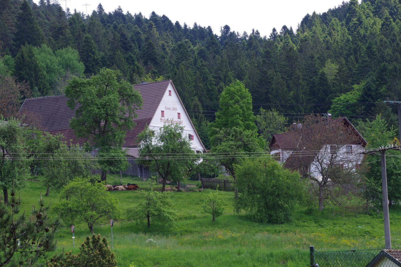 Flößerpfad Kinzigtal