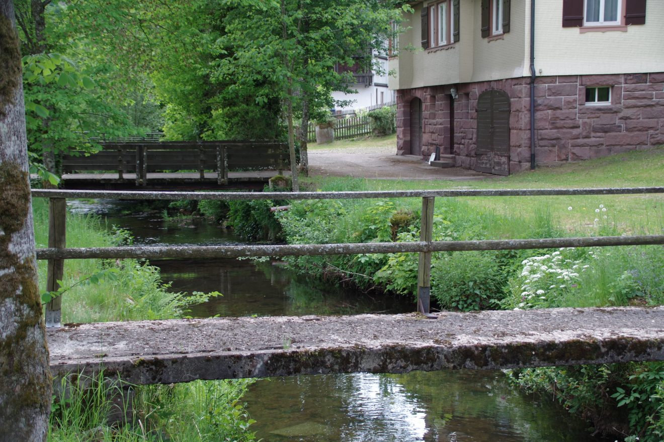 Flößerpfad Kinzigtal