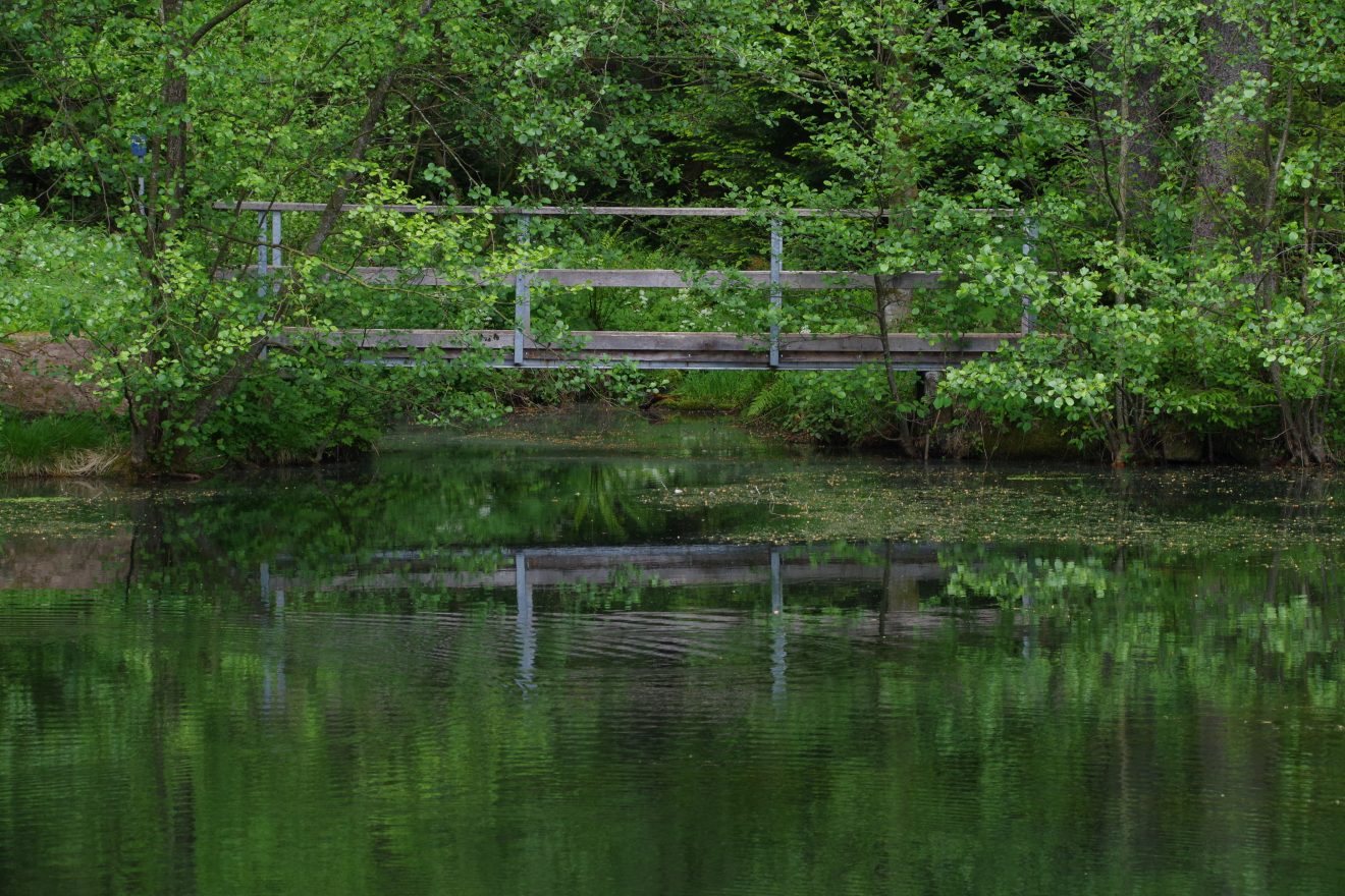 Kinzigsee bei Loßburg