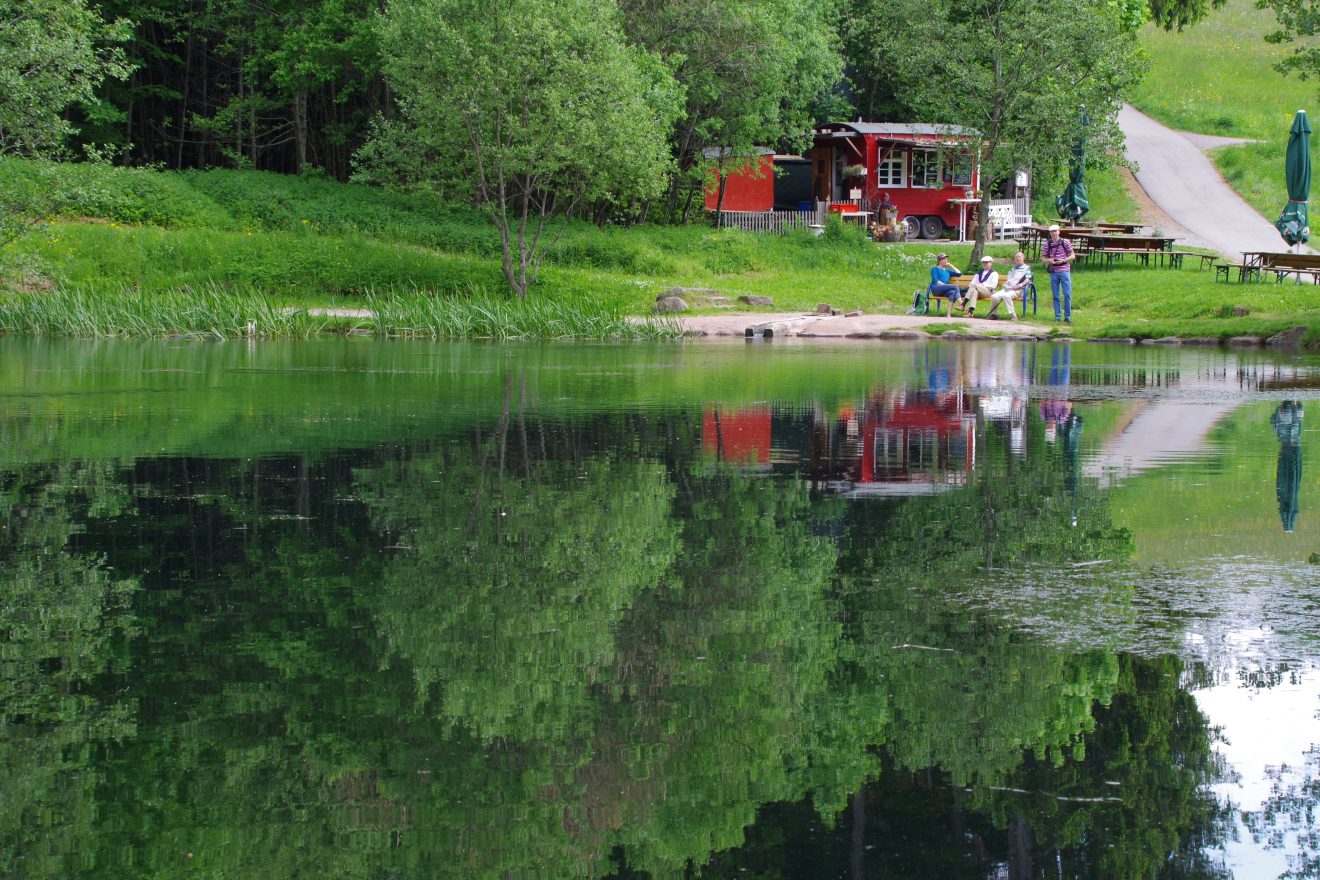 Kinzigsee bei Loßburg