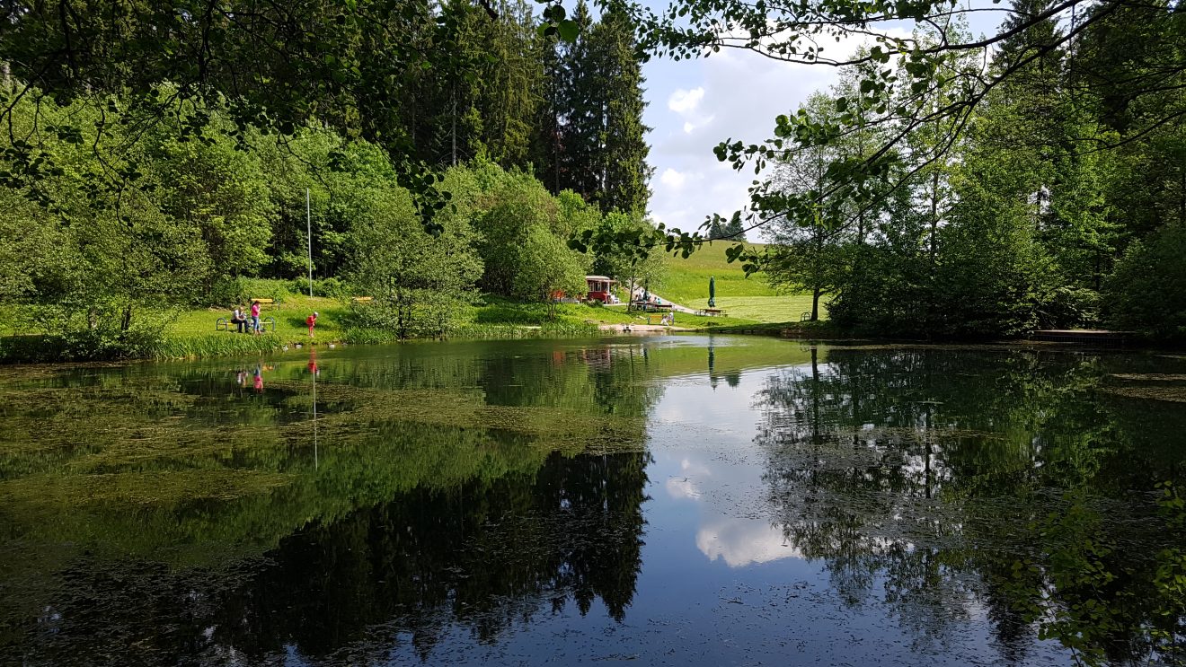 Kinzigsee bei Loßburg