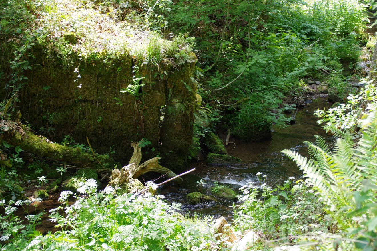 Reste eines Wehrs, an dem das Wasser gestaut wurde, um die Kinzig für die Floße schiffbar zu machen.
