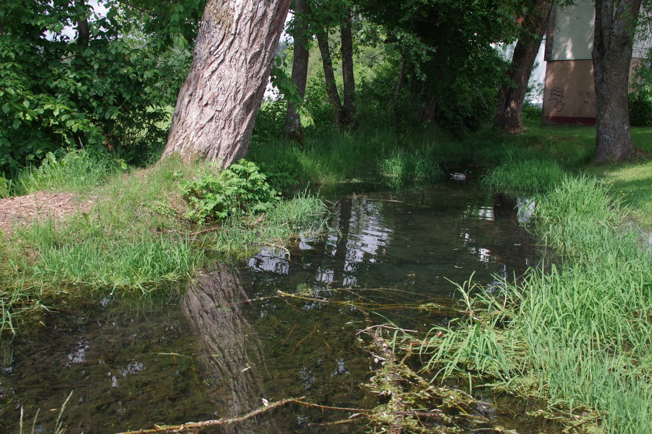 Stauteich in Loßburg