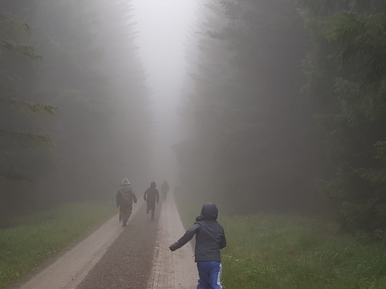 Infozentrum Kaltenbronn: Wildniswoche für Kinder - Nebeltour