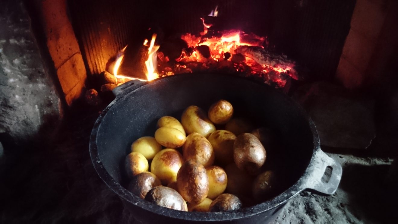 Infozentrum Kaltenbronn: Wildniswoche für Kinder - Kartoffeln auf dem Feuer