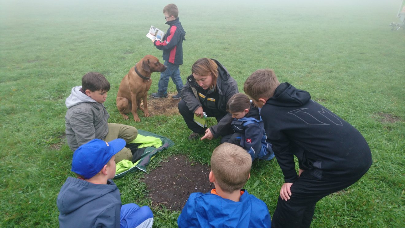 Infozentrum Kaltenbronn: Wildniswoche für Kinder - Spuren erkennen