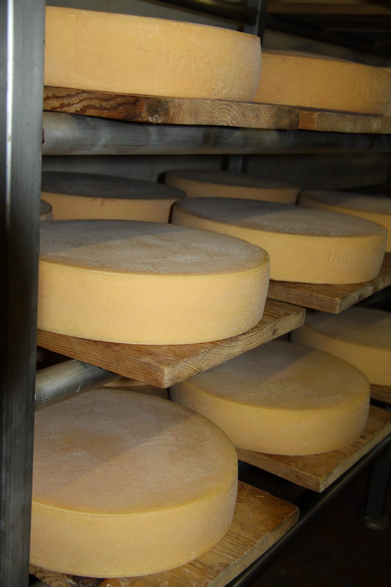 Käserei im Mooshof in Schramberg-Tennenbronn