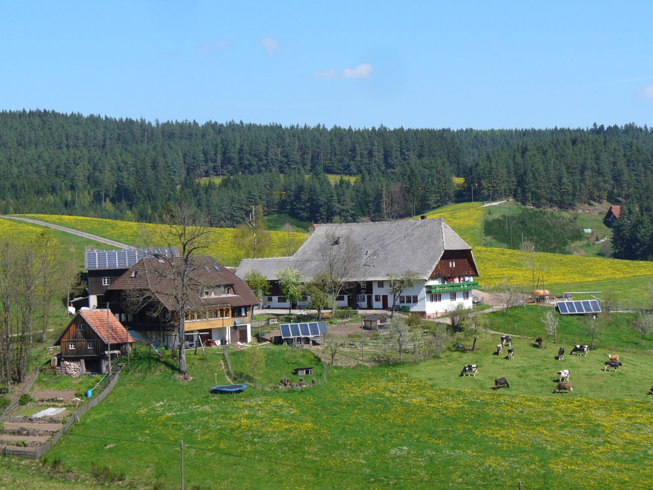 Mooshof in Schramberg-Tennenbronn