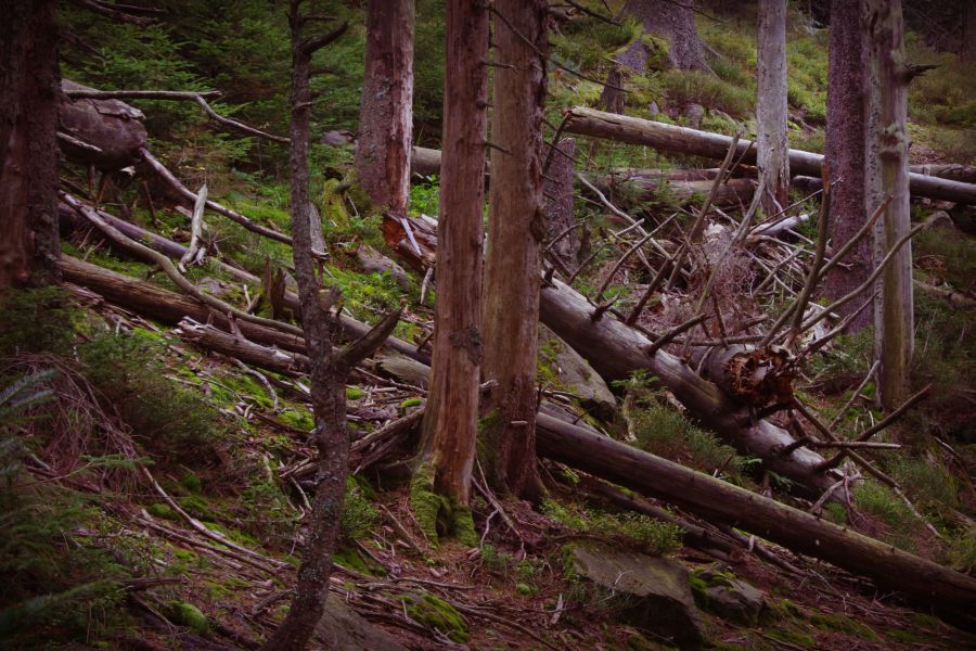 NaTour Stürmlesloch bei Bad Wildbad