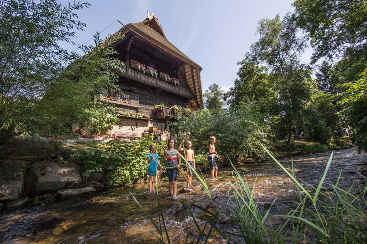 Sommerferien im Wasser