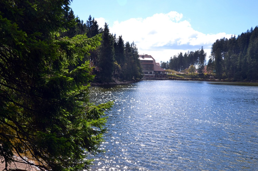 Natürliche Schönheit des Mummelsees