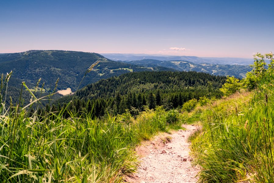 Wandern und Mountainbiken am Mummelsee