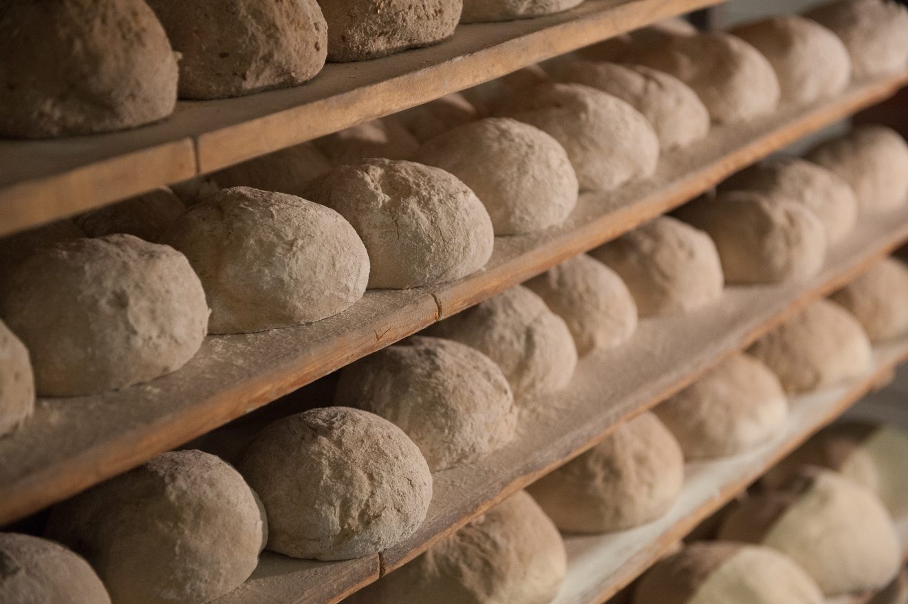 Ramsteinerhof in Fischerbach