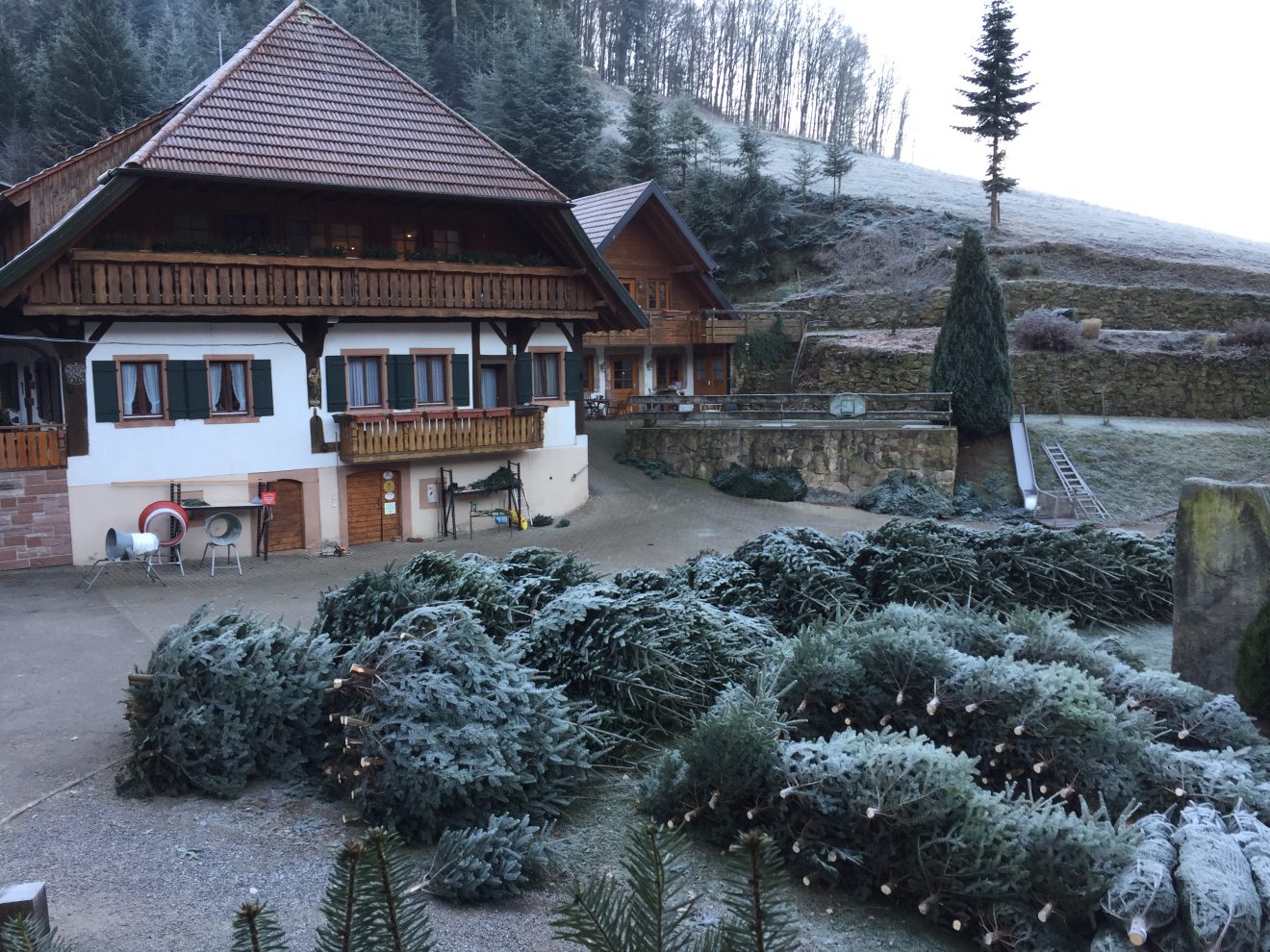 Ramsteinerhof in Fischerbach