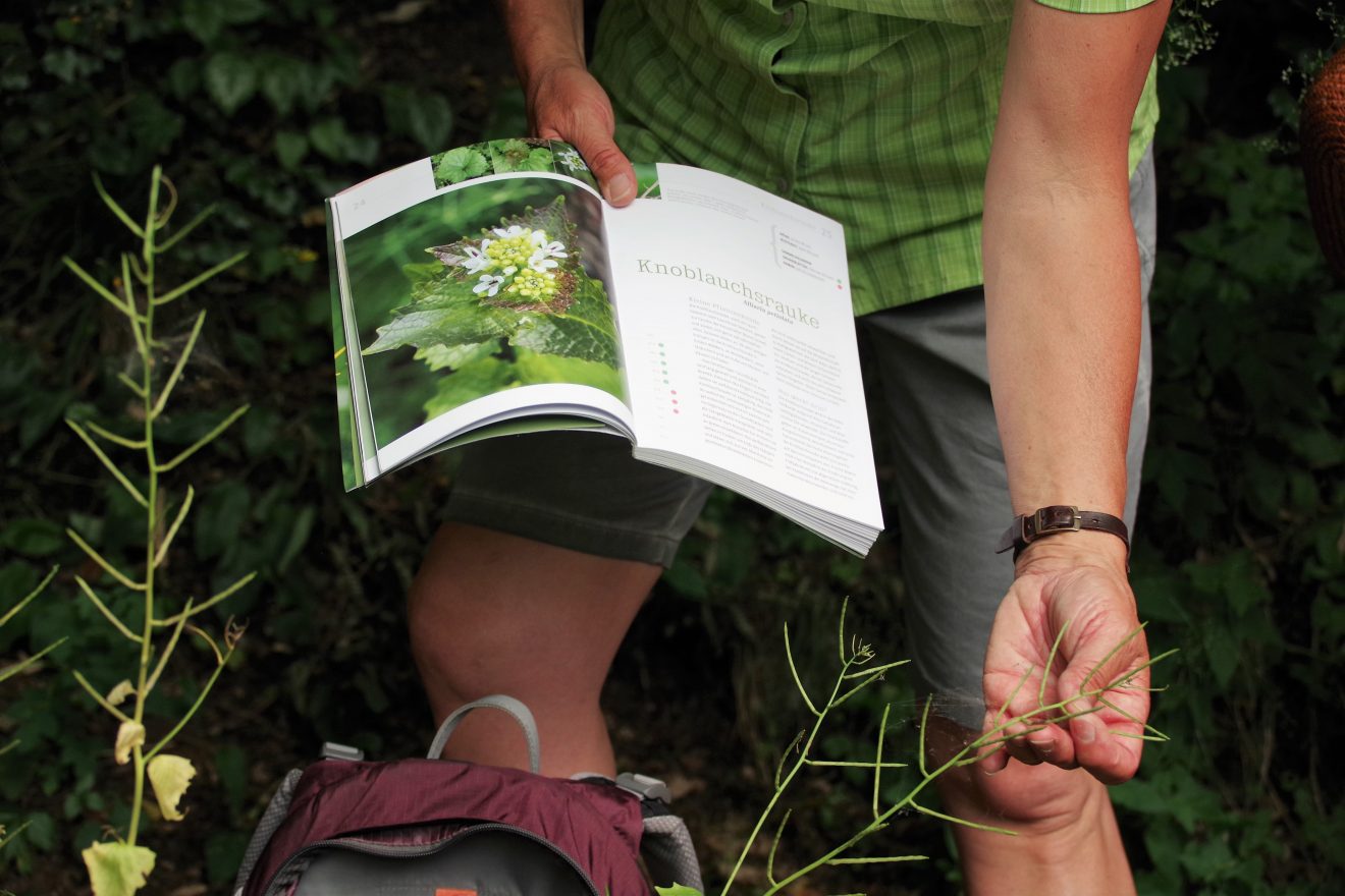 Kräuterwanderung über den Dächern von Schiltach im September 2017