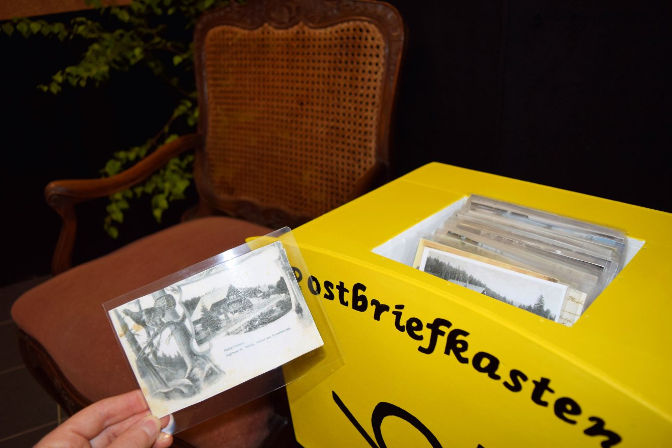 Infozentrum Kaltenbronn - Ausstellung "Hochmoor, Wald und Kaiserjagd"