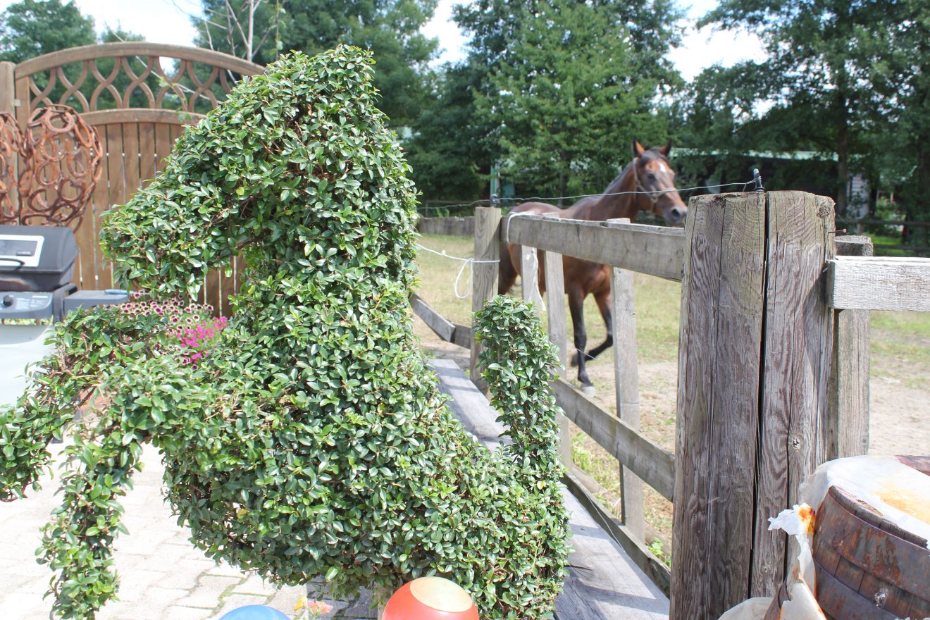 Naturpark-Brunch auf dem Bauernhof am 6. August 2017