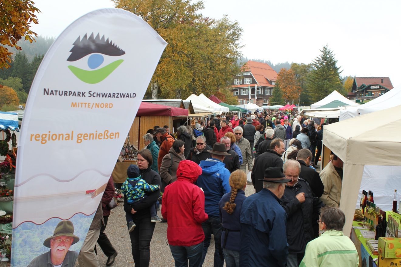 Waldfest Infozentrum Kaltenbronn
