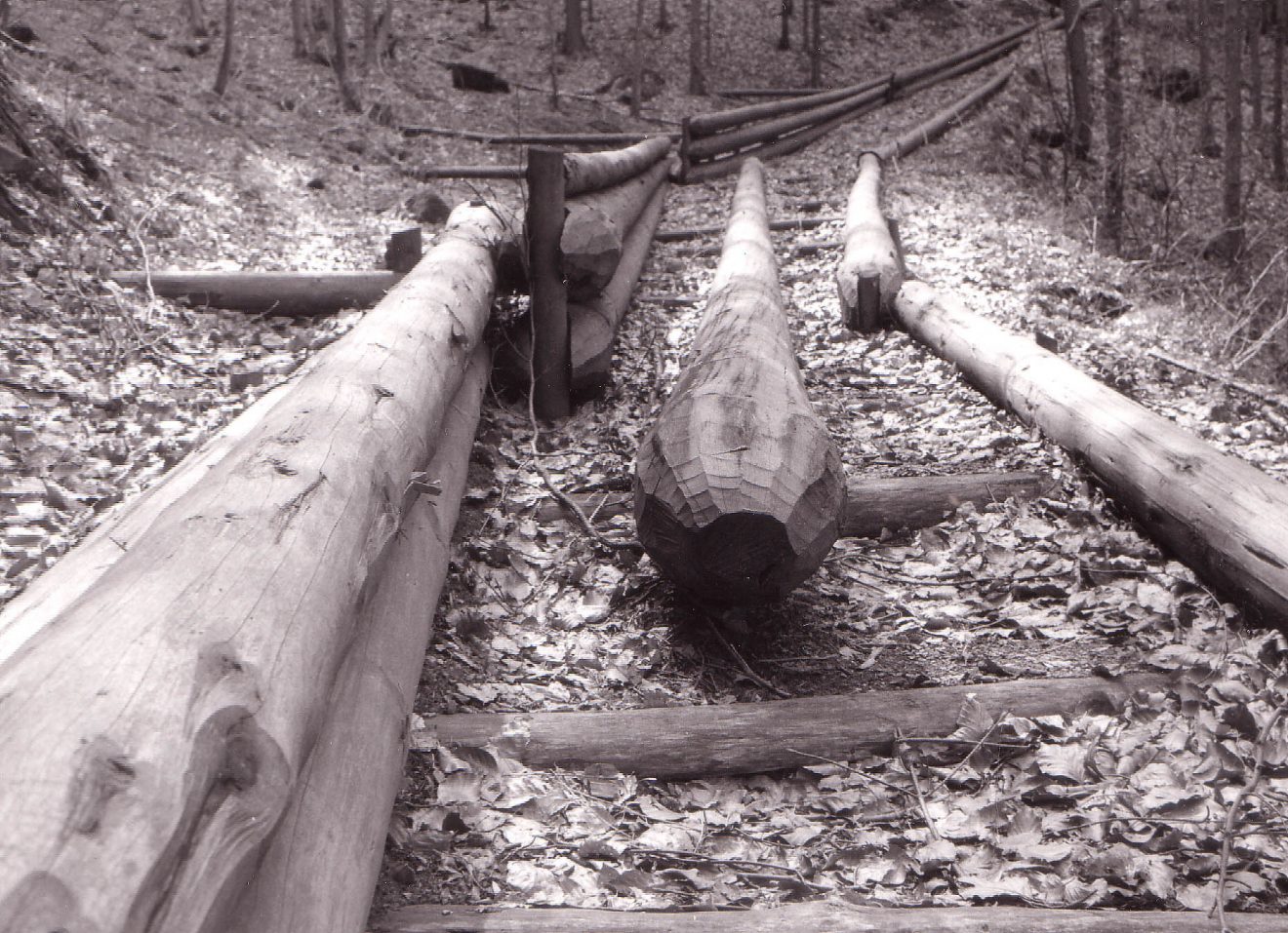 Floßhafen-Fest in Wolfach vom 19. bis 21. August 2017