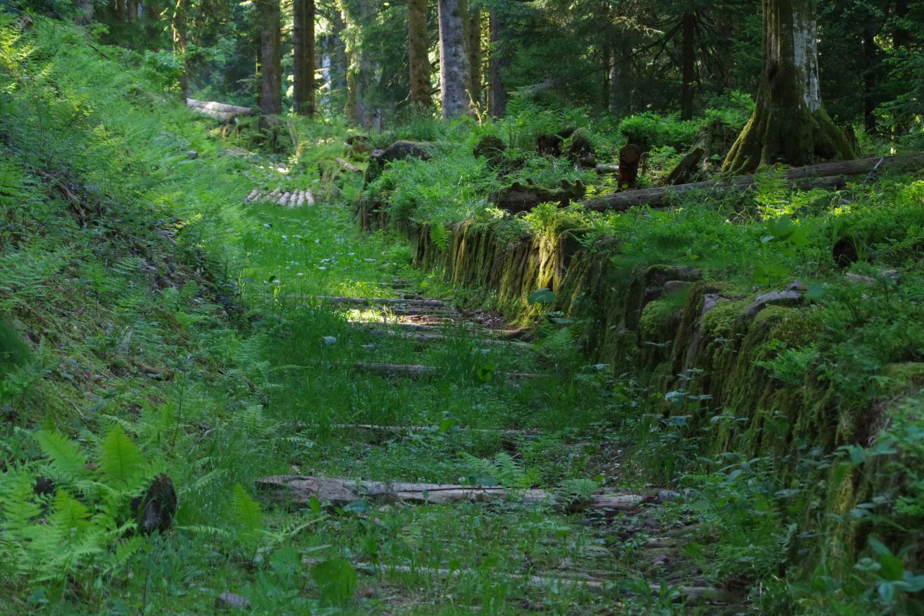 Floßhafen-Fest in Wolfach vom 19. bis 21. August 2017