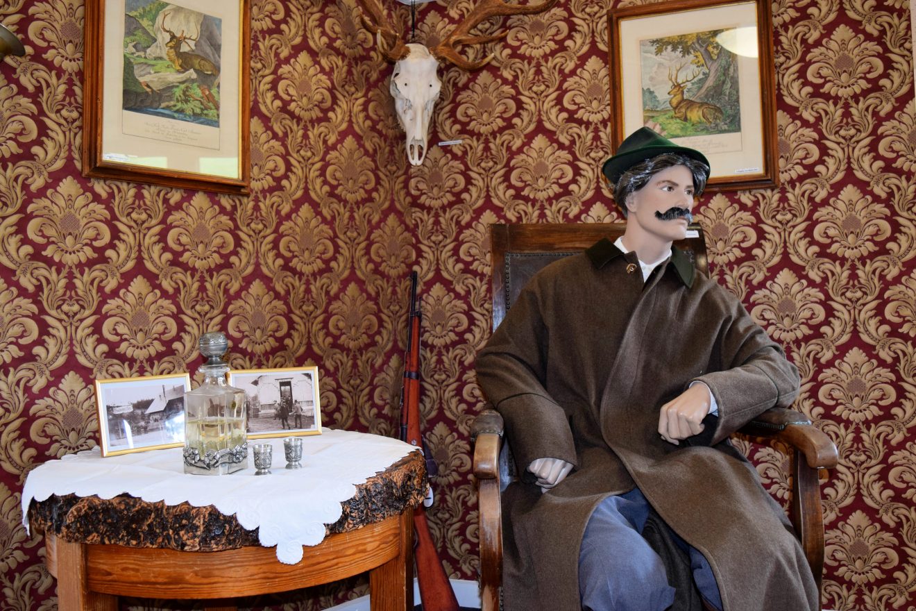 Infozentrum Kaltenbronn - Ausstellung "Hochmoor, Wald und Kaiserjagd"