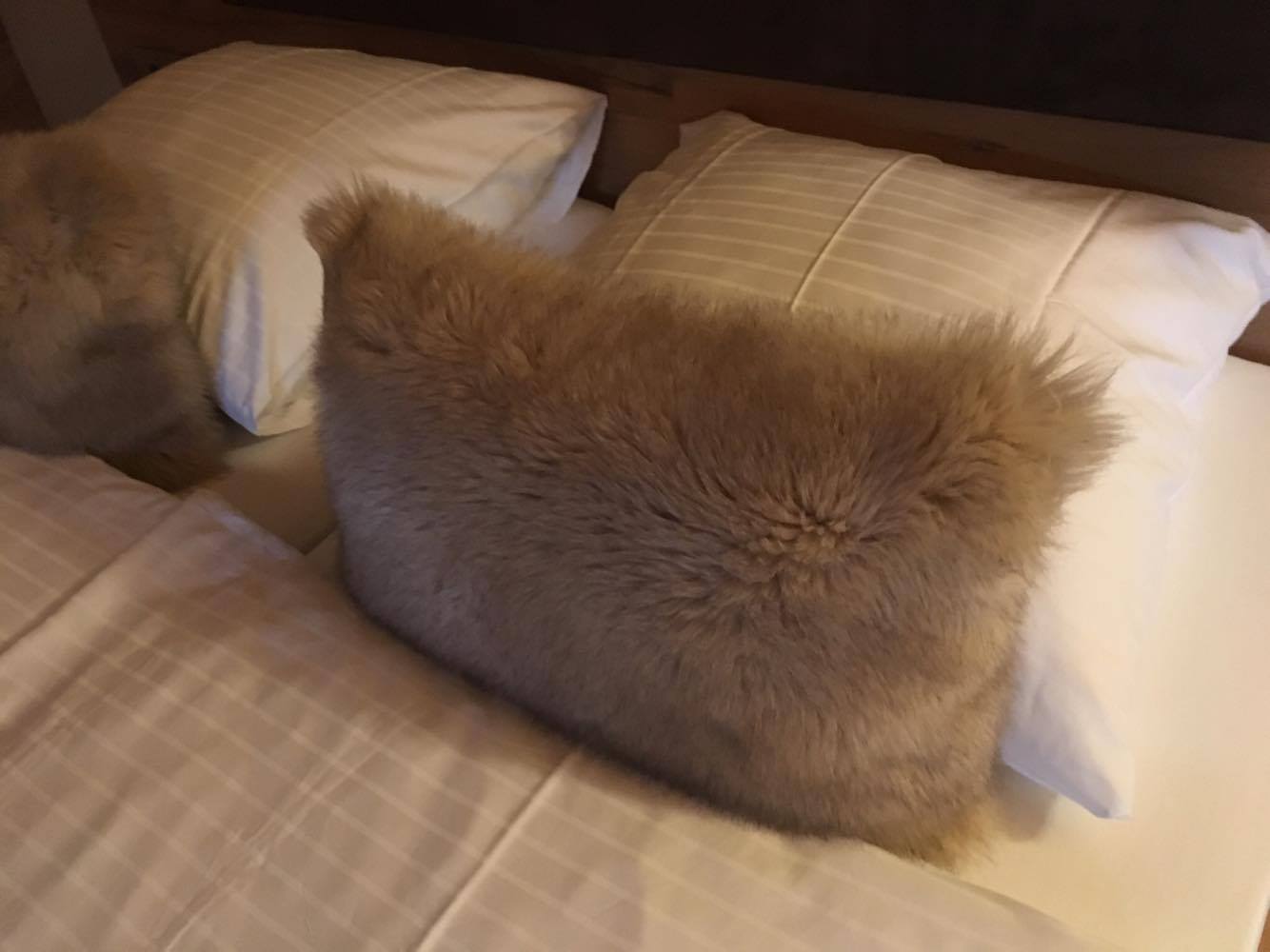 Schlafen in der Geroldsauer Mühle