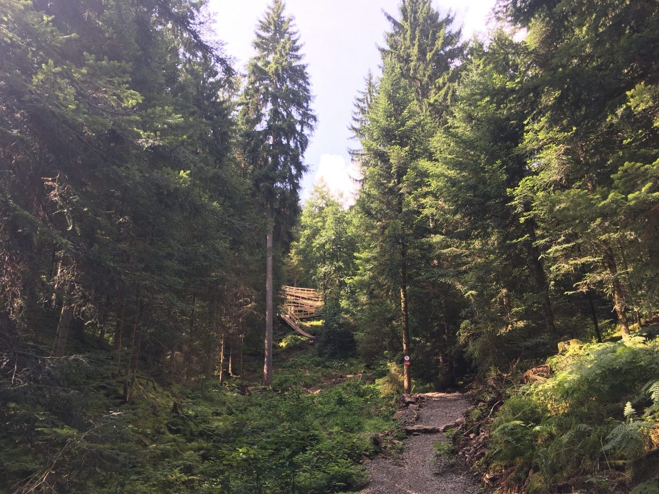 Neue Mountainbike-Single-Trail in Freudenstadt