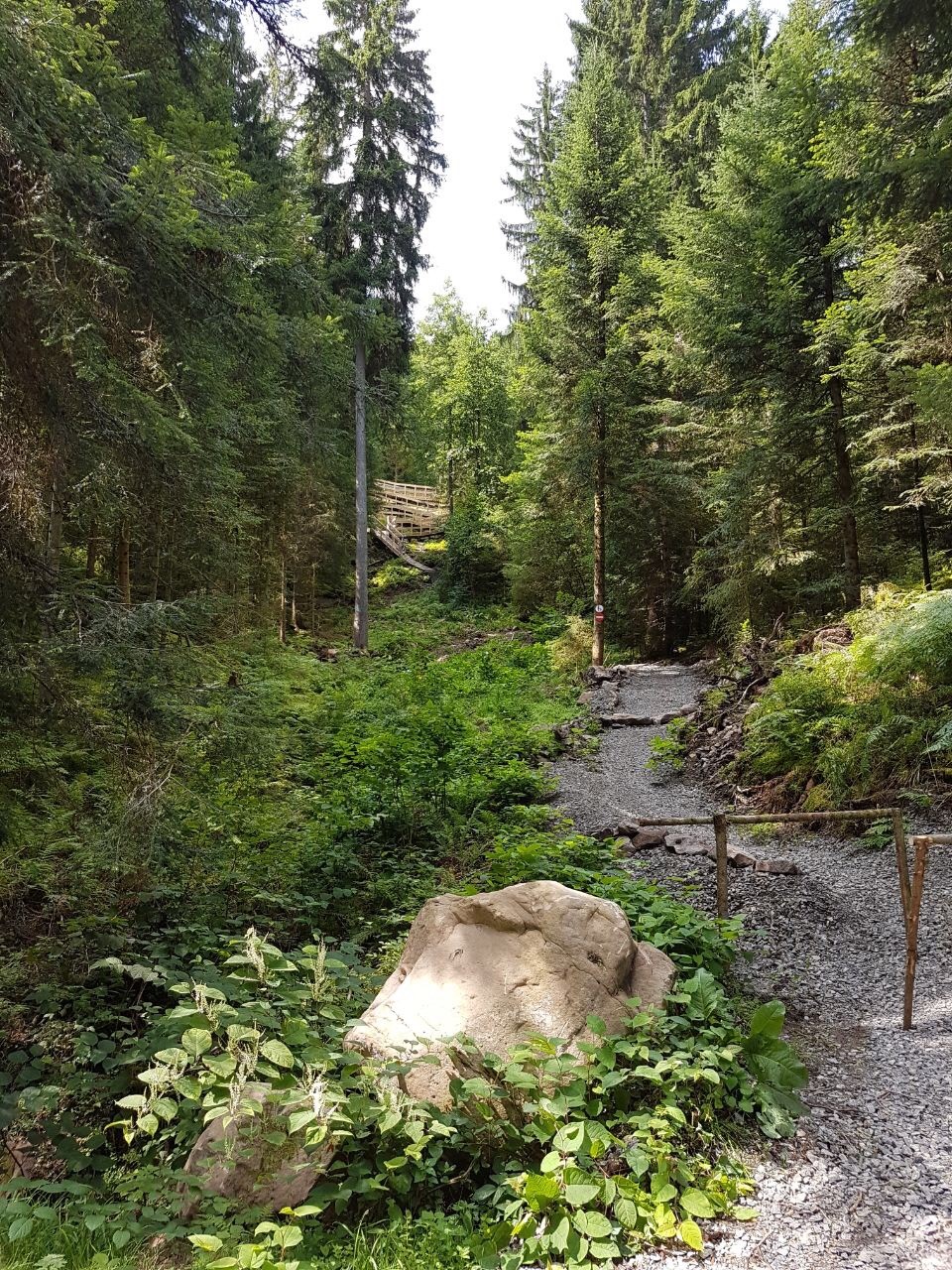 Neue Mountainbike-Single-Trail in Freudenstadt