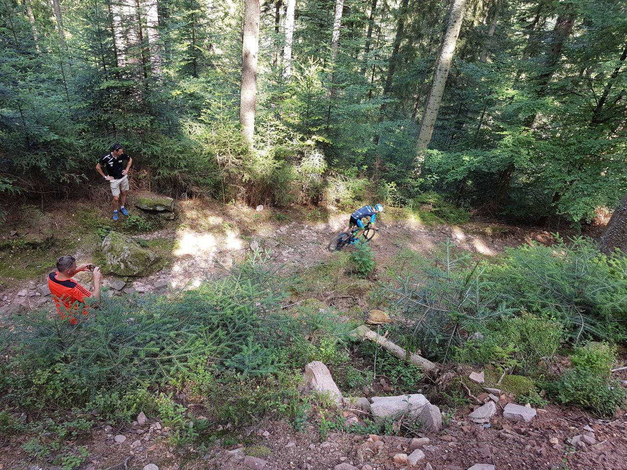 Rock-garden neuer Mountainbike-Single-Trail